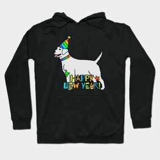 Happy New Year Hoodie